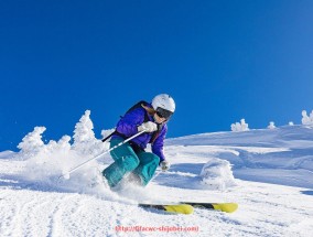 世俱杯直播-各省输送至CBA的球员数据对比与青训现状